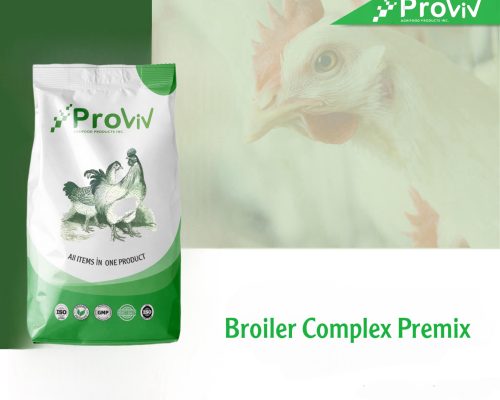 Broiler