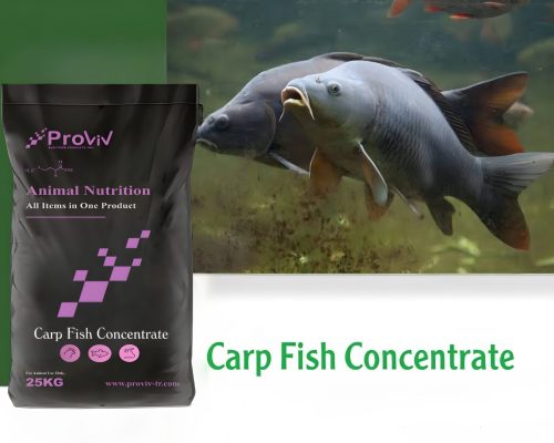 Carp fish premix
